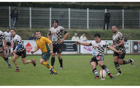 PAMIERS / BALMA : Le pied
